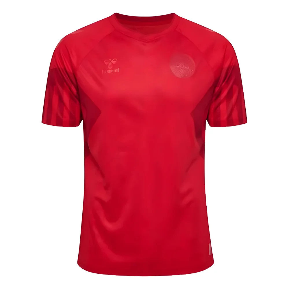 2022-2023 Denmark Home Jersey_1