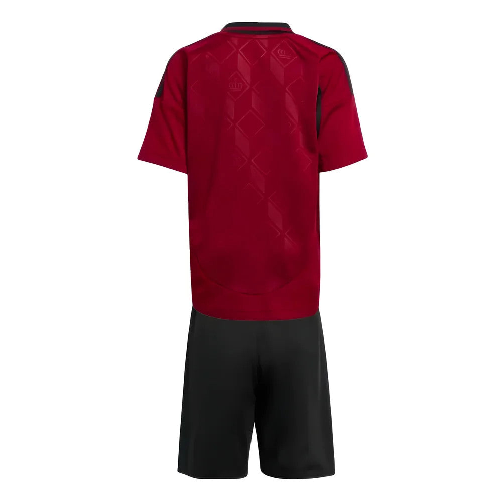 2024-2025 Belgium Home Mini Kit_1