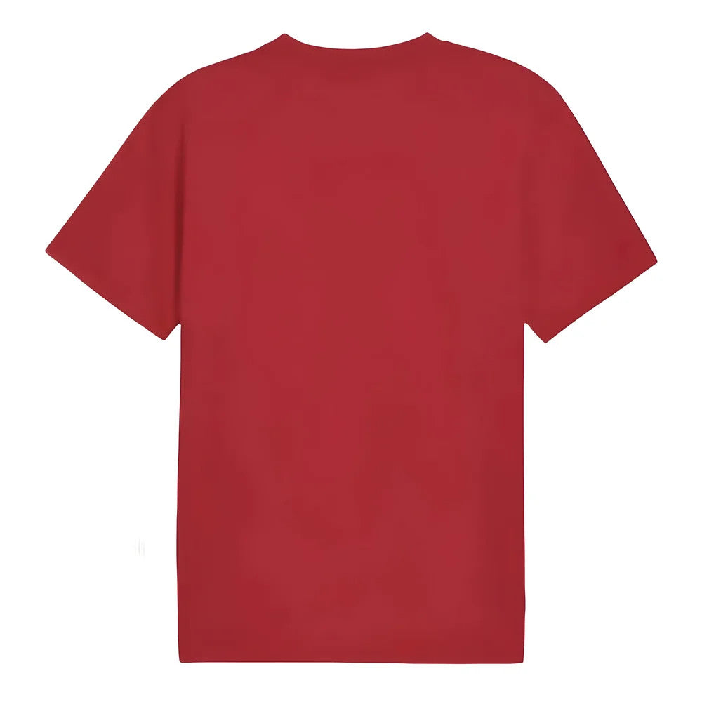 2024-2025 Serbia Pre-Match Jersey (Dark Cherry)_1