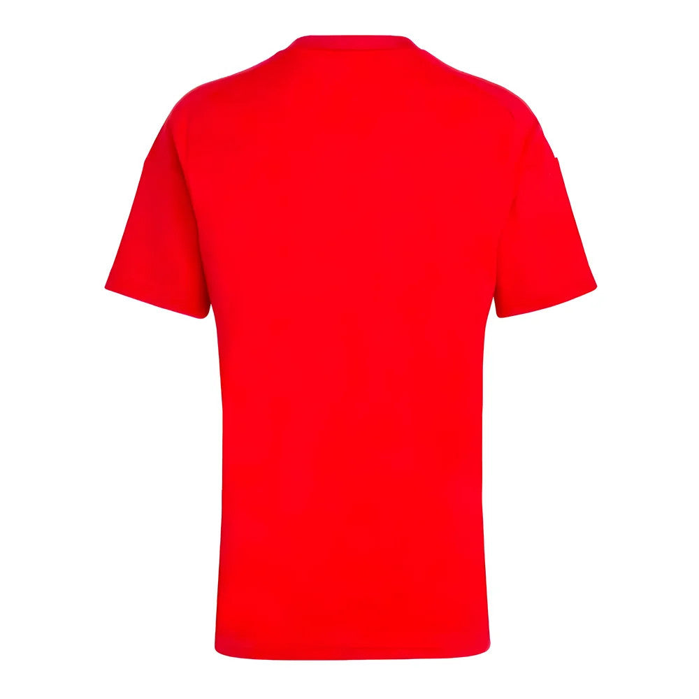 2024-2025 Hungary Home FAN Shirt_1