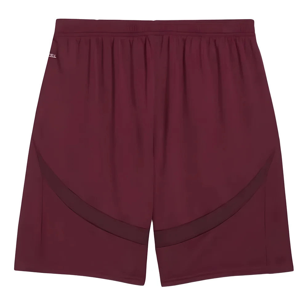 2024-2025 Man City Third Shorts (Dark Jasper)_1