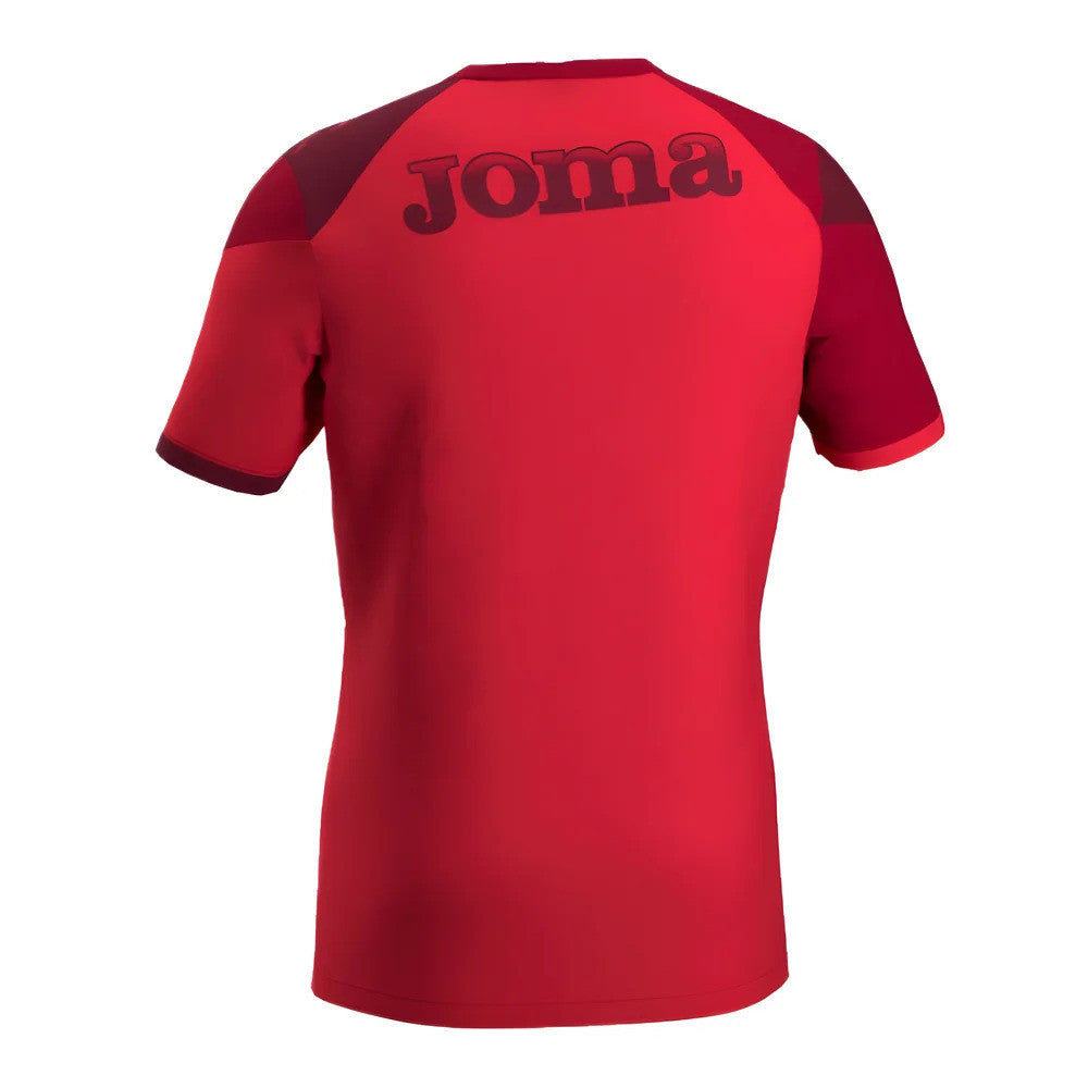 2024-2025 Torino Training Shirt (Red)_2