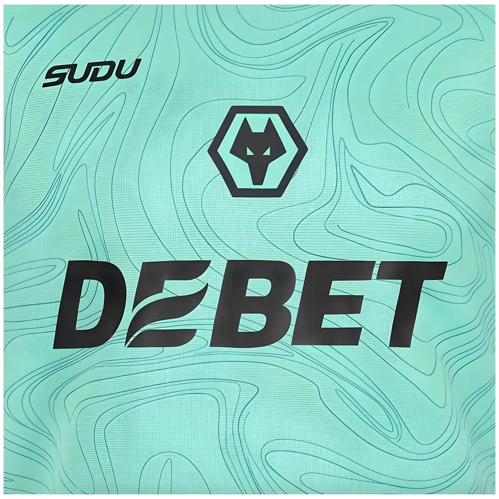 2024-2025 Wolves Goalkeeper Shirt - Eclipse_3