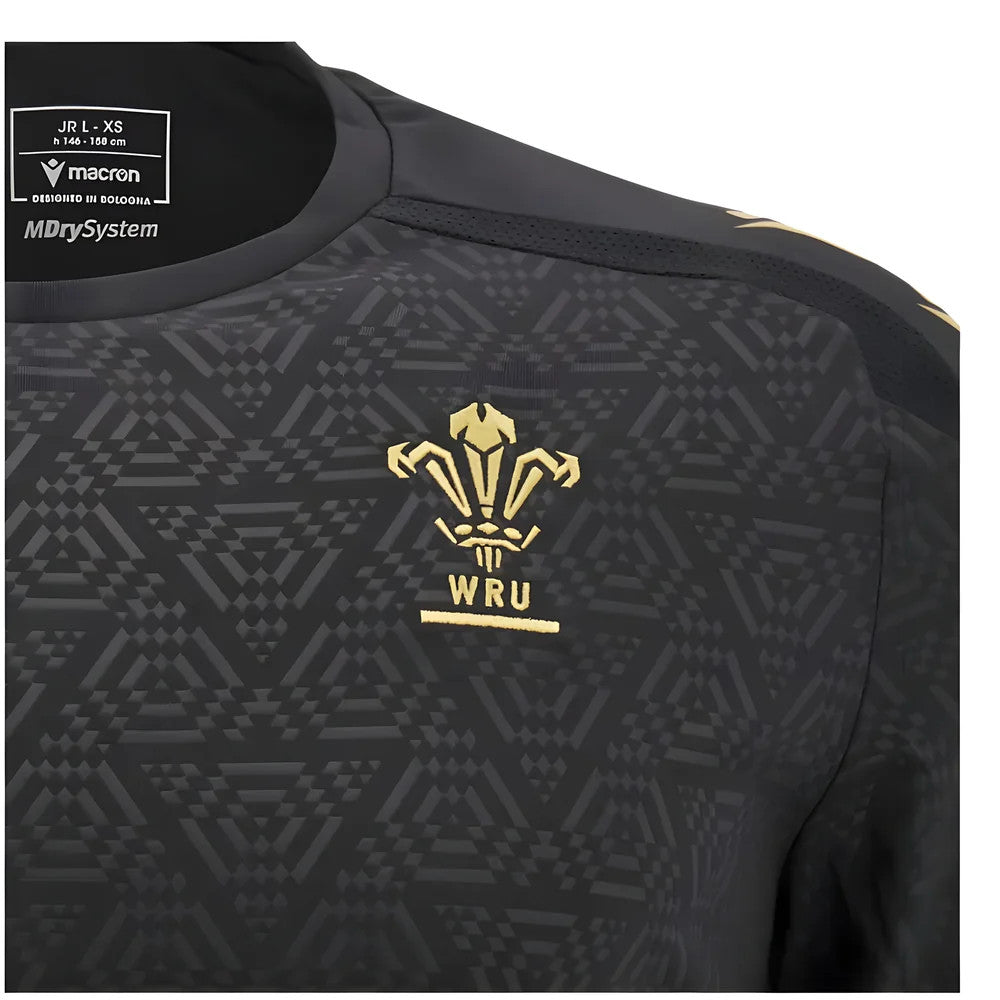 2024-2025 Wales Rugby WRU Poly Training Shirt (Black) - Kids_2