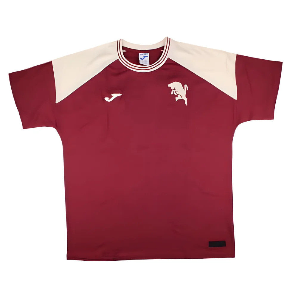 2024-2025 Torino Free Time T-Shirt (Burgundy)_1