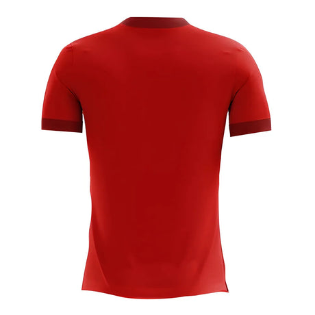 2025-2026 Egypt Home Concept Football Shirt_1
