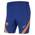 2020-2021 Barcelona Dry Strike Shorts (Blue) - Kids_0