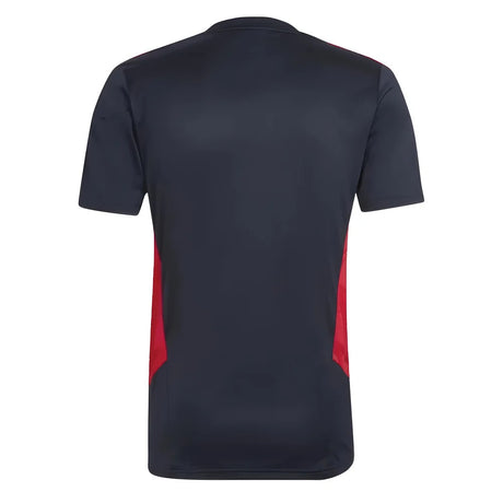 2022-2023 Bayern Munich Training Shirt (Black)_1