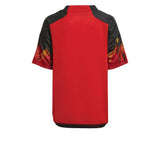 2022-2023 Belgium Home Mini Kit_1