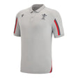 2022-2023 Wales Travel Polo Shirt (Grey)_1