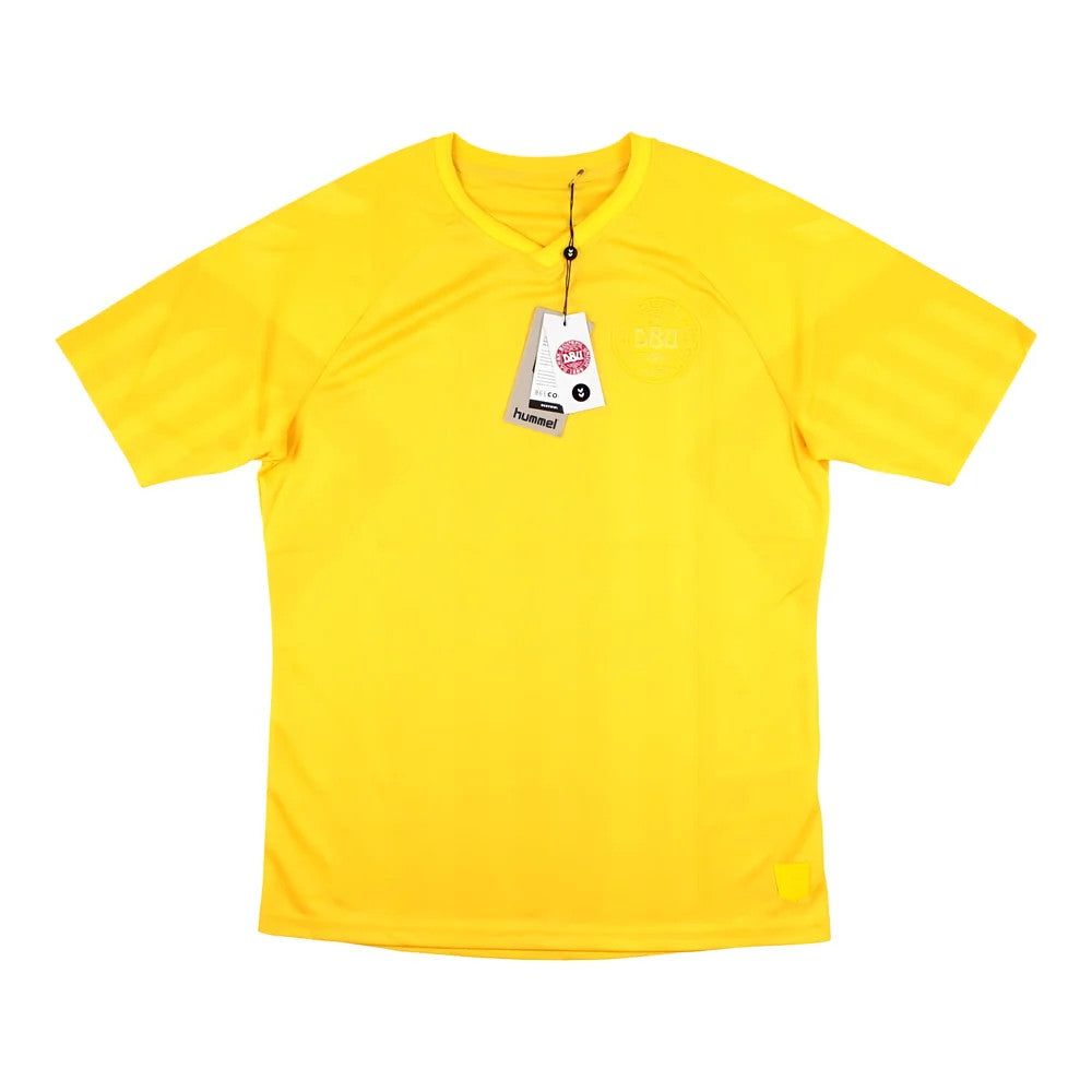 2022-2023 Denmark Away Goalkeeper Jersey (Yellow)_1