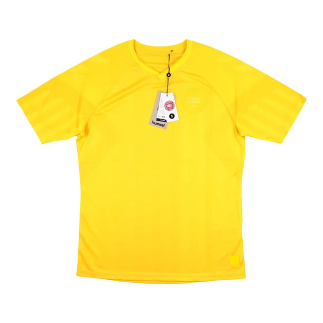2022-2023 Denmark Away Goalkeeper Jersey (Yellow)_1