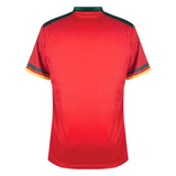 2022-2023 Cameroon Third Pro Football Shirt_1