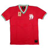 False Nein Wales Home Vintage Shirt_1