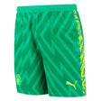 2023-2024 Man City Home Goalkeeper Shorts (Green)_1