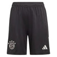 2023-2024 Bayern Munich Goalkeeper Shorts (Black) - Kids_1