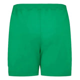 2023-2024 Republic of Ireland Away Shorts (Green)_1