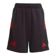 2023-2024 Man Utd Training Shorts (Black) - Kids_1