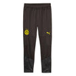2023-2024 Borussia Dortmund Training Pants (Black)_1