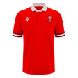 2023-2024 Wales Rugby Home Cotton Shirt_1