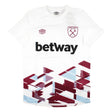 2023-2024 West Ham Warm Up Jersey (White)_1