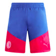 2023-2024 AC Milan Training Shorts (Royal Sapphire)_1