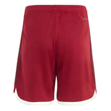 2023-2024 Bayern Munich Third Shorts (Red) - Kids_1