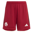2023-2024 Bayern Munich Third Shorts (Red) - Kids_1