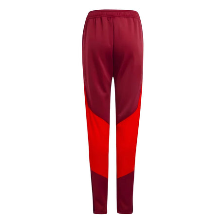 2023-2024 Man Utd EU Training Pants (Burgundy)_1