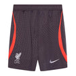 2023-2024 Liverpool Strike Training Shorts (Gridiron) - Kids_1