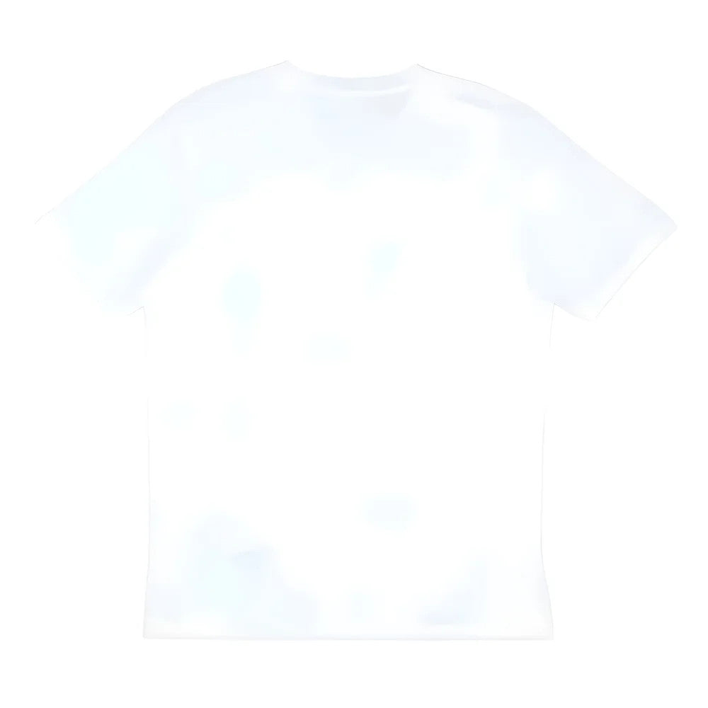 2024-2025 Serbia Training Jersey (White)_1