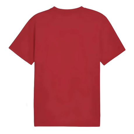 2024-2025 Serbia Pre-Match Jersey (Dark Cherry)_1