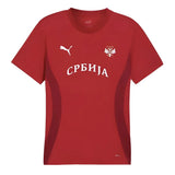 2024-2025 Serbia Pre-Match Jersey (Dark Cherry)_1