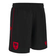 2024-2025 Albania Third Shorts (Black)_1