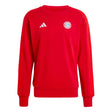 2024-2025 Bayern Munich DNA Sweat Top (Red)_1