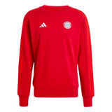 2024-2025 Bayern Munich DNA Sweat Top (Red)_1
