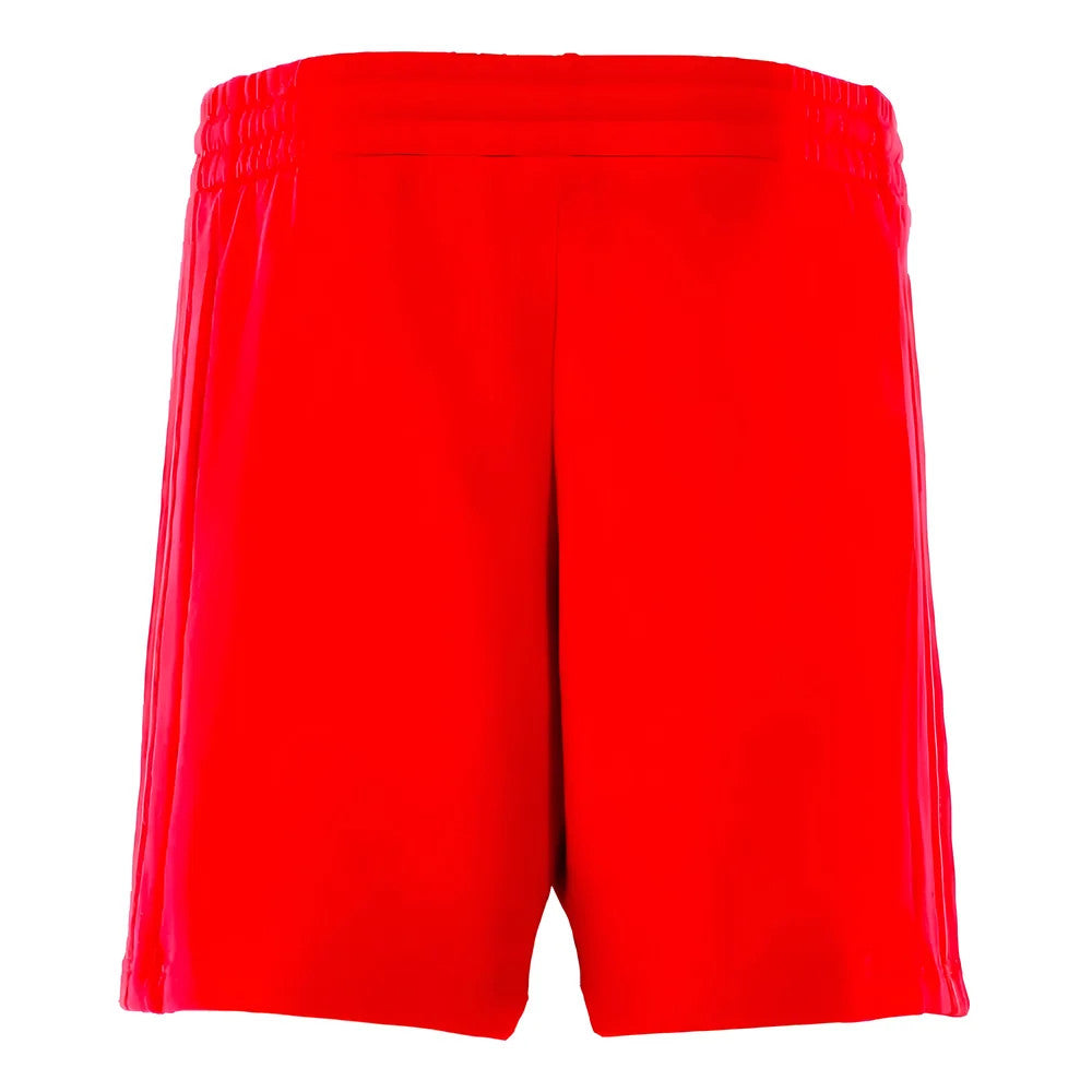 2024-2025 Bayern Munich DNA Shorts (Red)_1