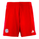 2024-2025 Bayern Munich DNA Shorts (Red)_1