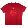 2024-2025 Bayern Munich DNA Graphic Tee (Red)_1