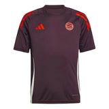 2024-2025 Bayern Munich Training Shirt (Shadow Maroon) - Kids_0