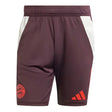 2024-2025 Bayern Munich Training Shorts (Shadow Maroon)_0