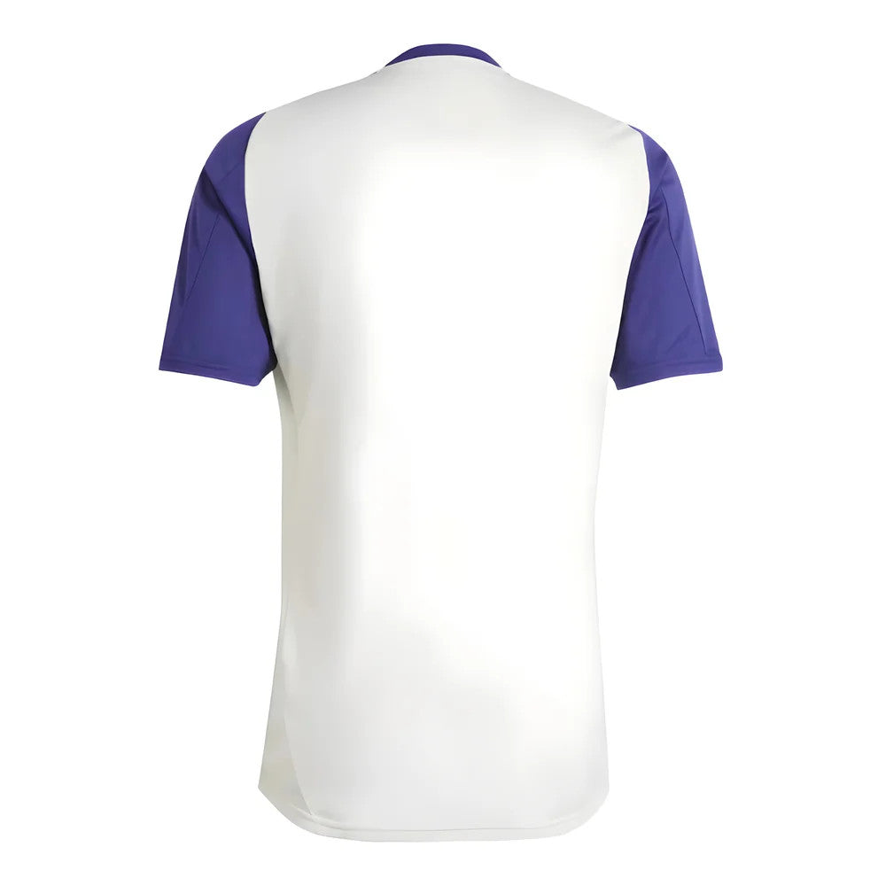 2024-2025 Olympique Lyon Training Jersey (White Tint)_1