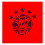 2024-2025 Bayern Munich Home Shorts (Red)_1