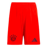 2024-2025 Bayern Munich Home Shorts (Red)_1