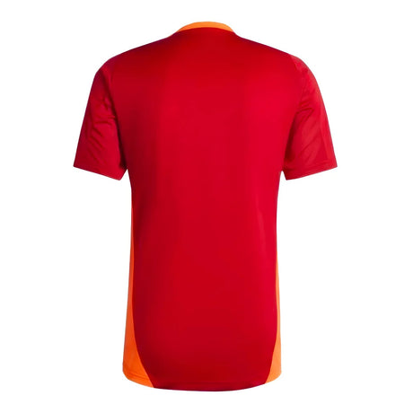 2024-2025 Bayern Munich Training Shirt (Red)_1