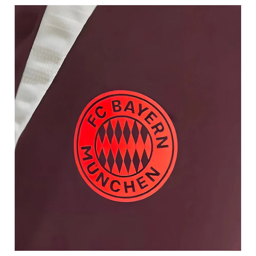 2024-2025 Bayern Munich Training Pants (Shadow Maroon)_1