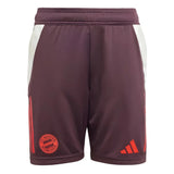 2024-2025 Bayern Munich Training Shorts (Shadow Maroon) - Kids_1