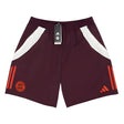 2024-2025 Bayern Munich Downtime Shorts (Shadow Maroon)_0