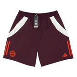 2024-2025 Bayern Munich Downtime Shorts (Shadow Maroon)_0