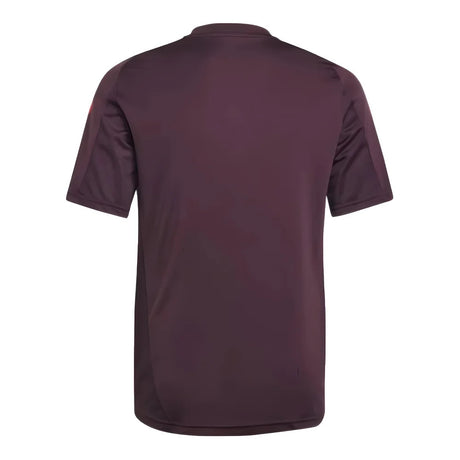 2024-2025 Bayern Munich Training Tee (Shadow Maroon) - Kids_1